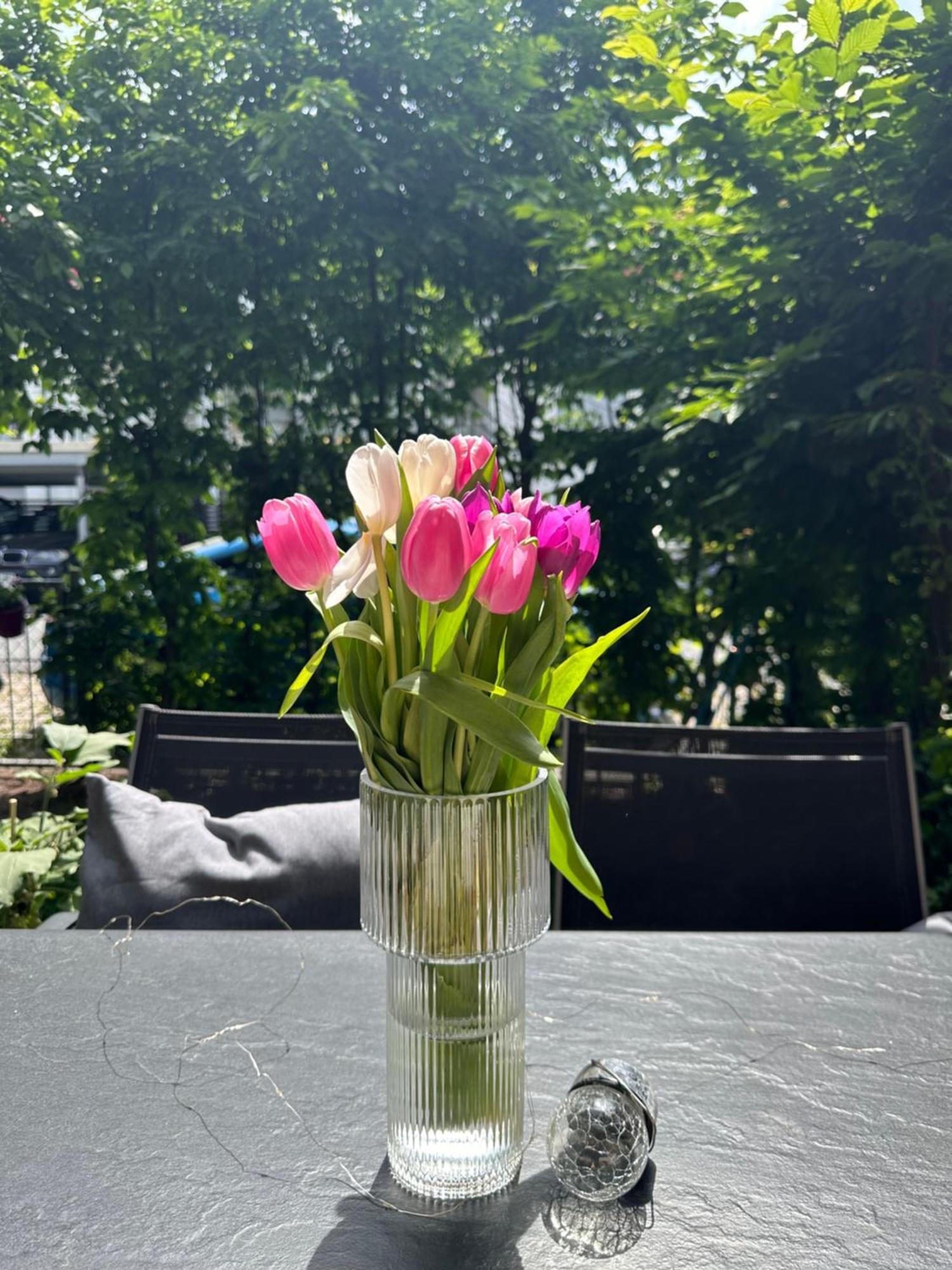 Luxus I Wohnkueche I Garten I Terrasse I Parkplatz Fürth Eksteriør bilde